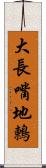 大長嘴地鶇 Scroll