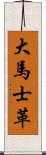 大馬士革 Scroll