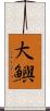 大鱮 Scroll