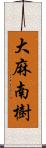 大麻南樹 Scroll