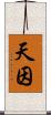 天因 Scroll