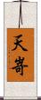 天嵜 Scroll