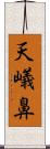 天嶬鼻 Scroll