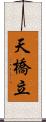 天橋立 Scroll