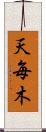 天毎木 Scroll