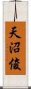 天沼俊 Scroll