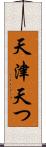 天津 Scroll