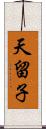 天留子 Scroll