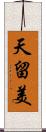天留美 Scroll