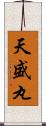 天盛丸 Scroll