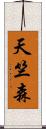 天竺森 Scroll