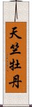 天竺牡丹 Scroll