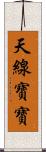 天線寶寶 Scroll