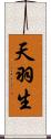 天羽生 Scroll