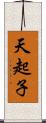 天起子 Scroll