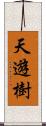 天遊樹 Scroll