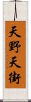 天野天街 Scroll