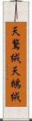 天鵞絨 Scroll