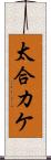 太合カケ Scroll