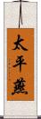 太平燕 Scroll