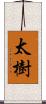 太樹 Scroll