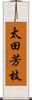 太田芳枝 Scroll