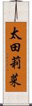 太田莉菜 Scroll