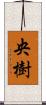 央樹 Scroll