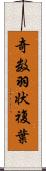 奇数羽状複葉 Scroll