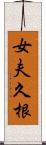 女夫久根 Scroll