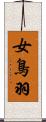 女鳥羽 Scroll