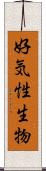 好気性生物 Scroll