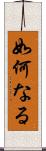 如何なる Scroll