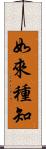 如來種知 Scroll