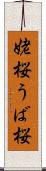 姥桜 Scroll