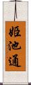 姫池通 Scroll
