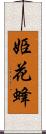 姫花蜂 Scroll