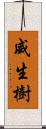 威生樹 Scroll