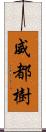 威都樹 Scroll