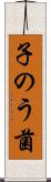 子のう菌 Scroll