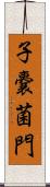 子嚢菌門 Scroll