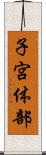 子宮体部 Scroll