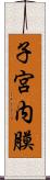 子宮内膜 Scroll