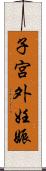 子宮外妊娠 Scroll