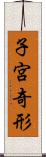 子宮奇形 Scroll