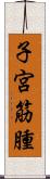 子宮筋腫 Scroll