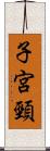 子宮頸 Scroll