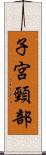 子宮頸部 Scroll