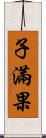 子滿果 Scroll