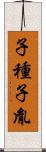 子種 Scroll